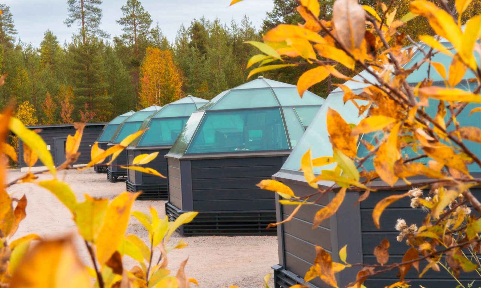 Glass igloos surrounded by autumn colours at Arctic SnowHotel & Glass Igloos.
